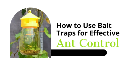 How to Use Bait Traps for Effective Ant Control
