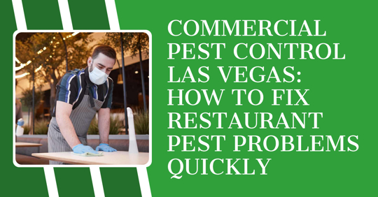 Commercial Pest Control Las Vegas: How to Fix Restaurant Pest Problems Quickly