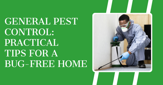 Best Scorpion Pest Control: Effective Solutions for Your Home