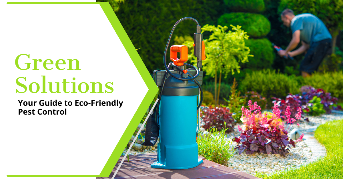 Eco2 Pest Control Systems Green Solutions: Your Guide to Eco-Friendly Pest Control
